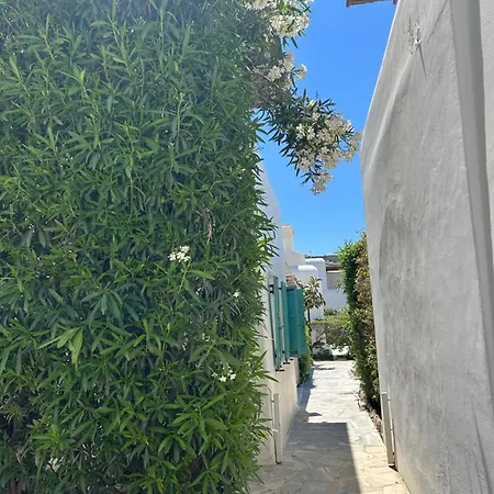 别墅 Luxury House With Swimming Pool In Mykonos 奥诺斯